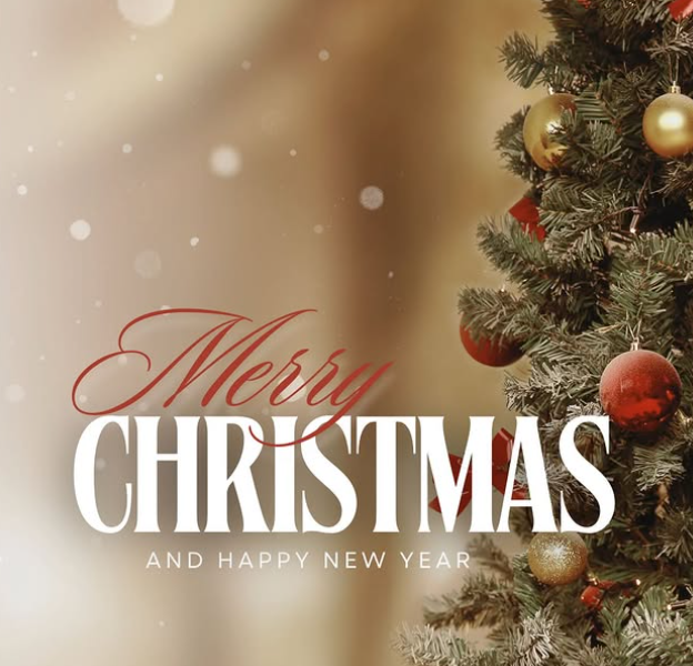 צילום-מסך-2025-12-28-232420